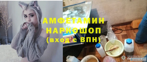 ПСИЛОЦИБИНОВЫЕ ГРИБЫ Баксан