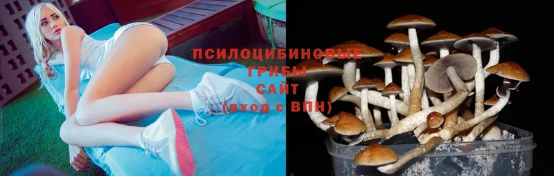 Галлюциногенные грибы Magic Shrooms  Владикавказ 